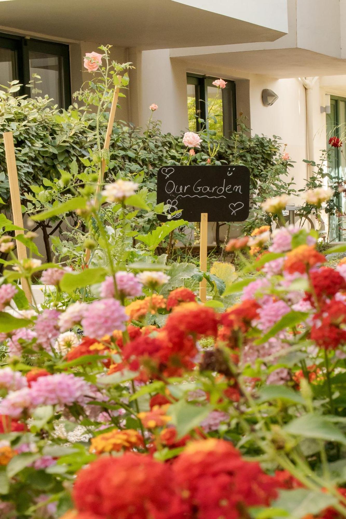 Athina Beach Hotel Kato Daratso Exterior foto